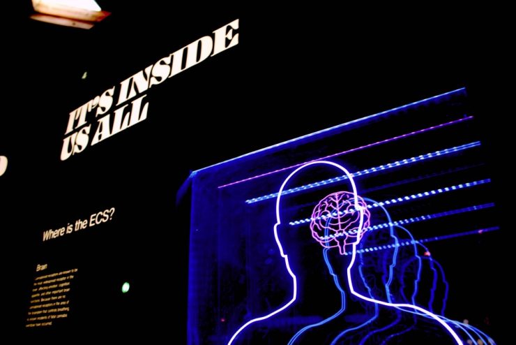 How AI can help understand our minds: Interview with Smriti Mishra