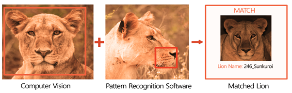 Protection Assistant for Wildlife Security (PAWS)